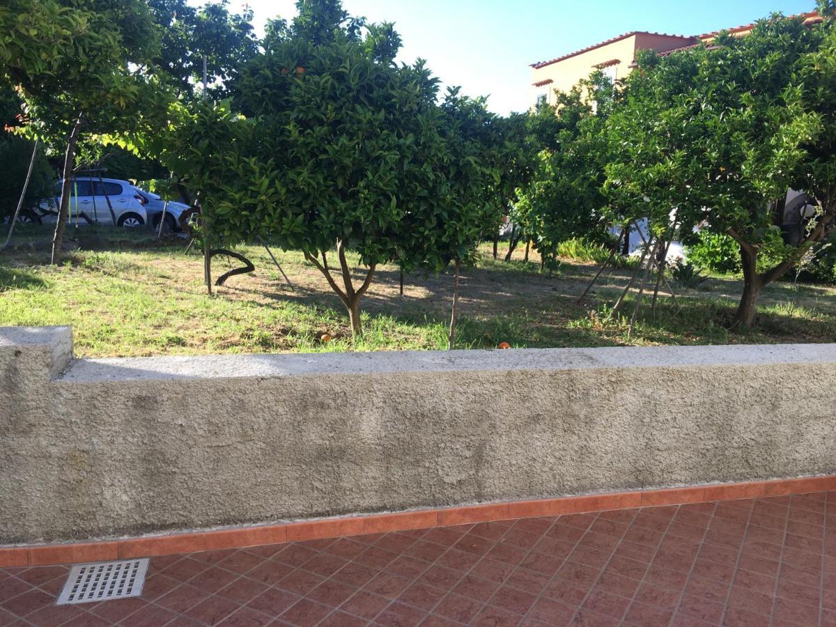 La Finestra Sul Giardino Apartment Ischia Exterior photo